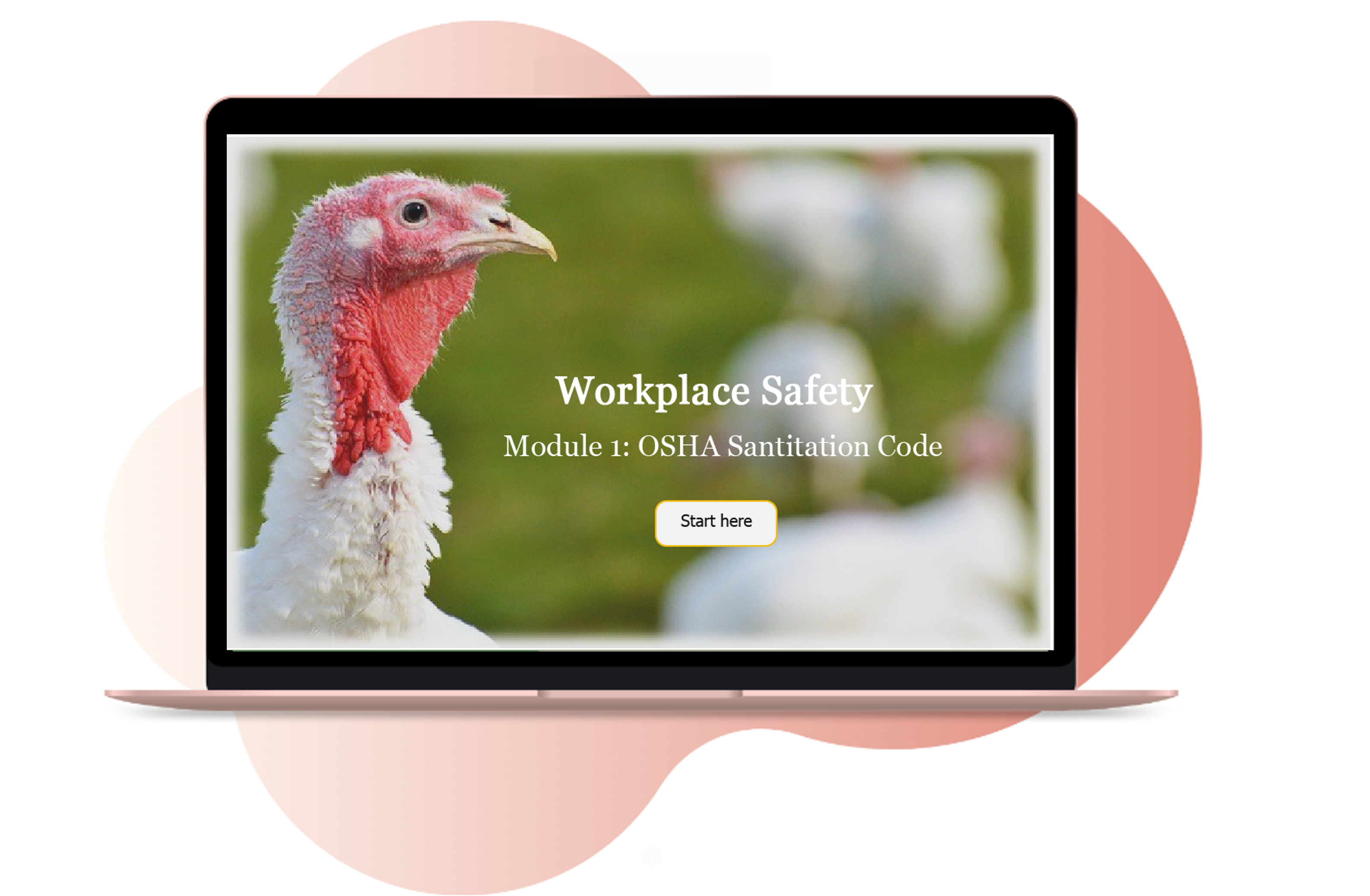 Turkey on cover slide